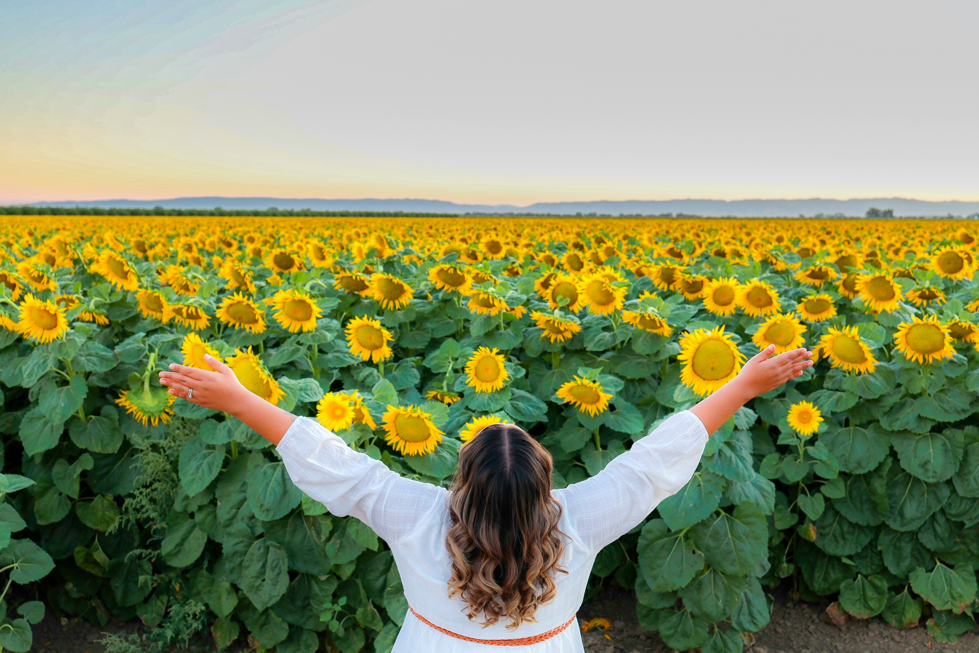 woman in white long sleeve shirt standing on sunflower field during daytime